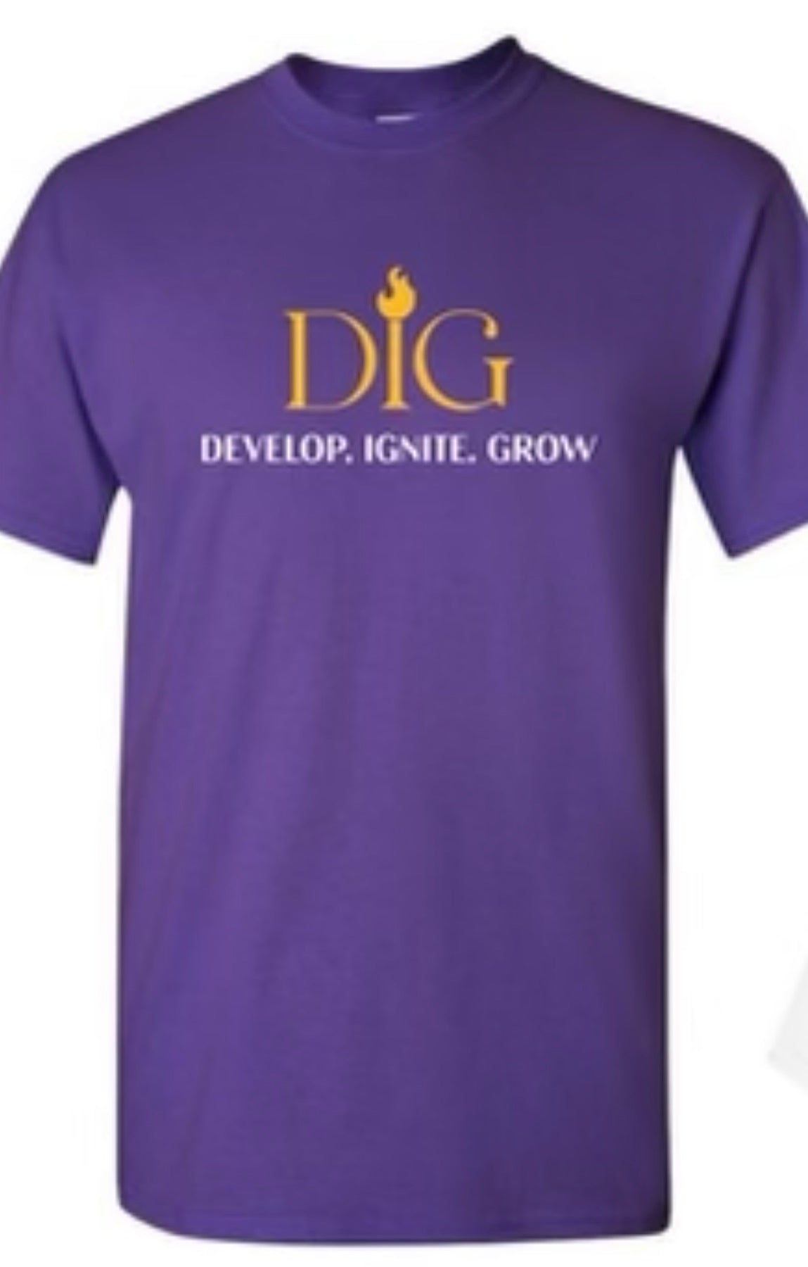 Adult Purple D. I. G. T-shirt